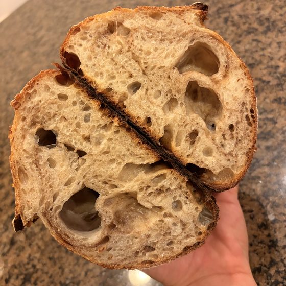 A hand holding two halves of a freshly cut sourdough loaf with an open crumb.